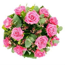 Rozā rožu pušķis